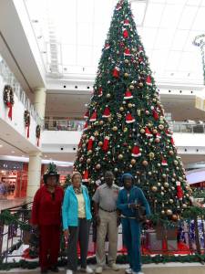 beautiful-christmas-tree-at-bawadi-mall-dec292013-2