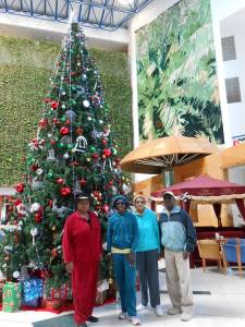 beautiful-christmas-tree-at-bawadi-mall-dec292013