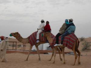 camel-getty-up_look-at-those-jeffersons-jan22014