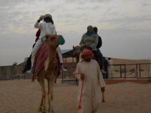 hello-from-the-camel-riders-jan22014